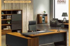 Downtown Mohali price list