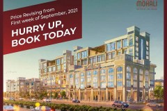 icon group down town mohali